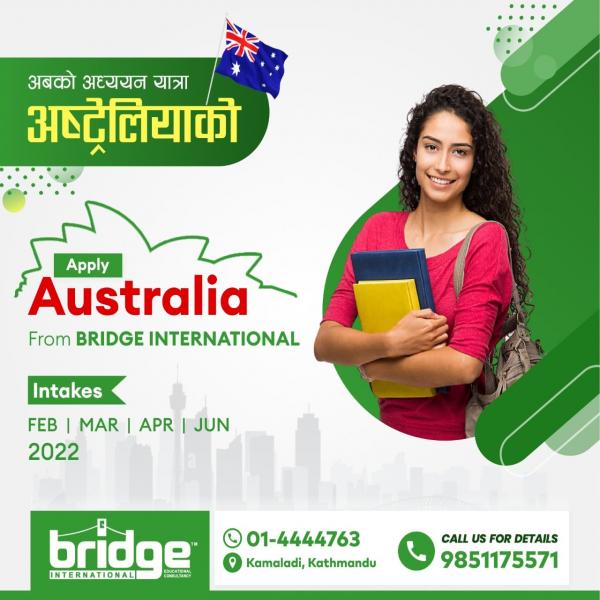 Bridge International Educational Consultancy