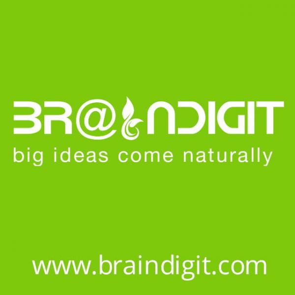 Braindigit IT Solution