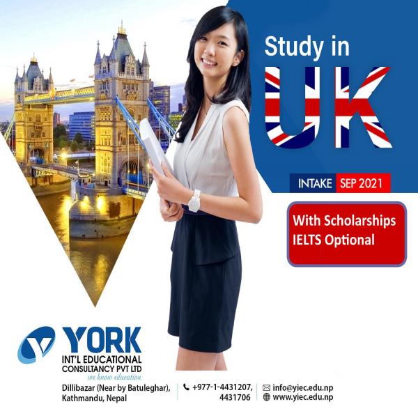 York International Educational Consultancy